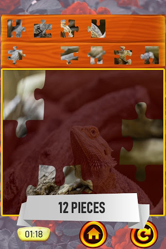 Dragon Jigsaw Puzzle