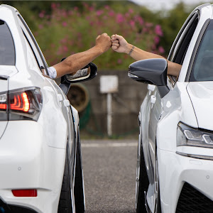 GS F URL10