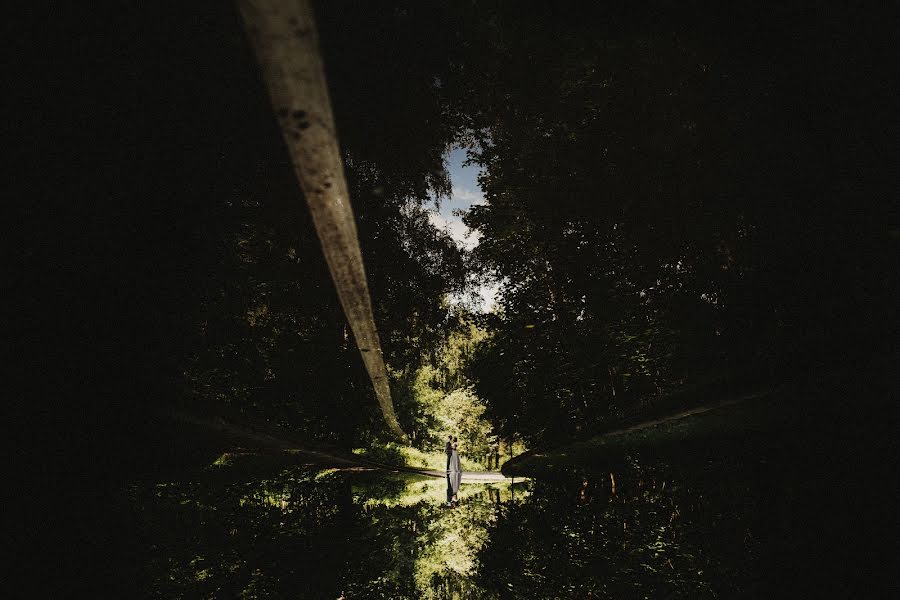 Fotógrafo de casamento Darya Elfutina (elfutina). Foto de 1 de outubro 2015