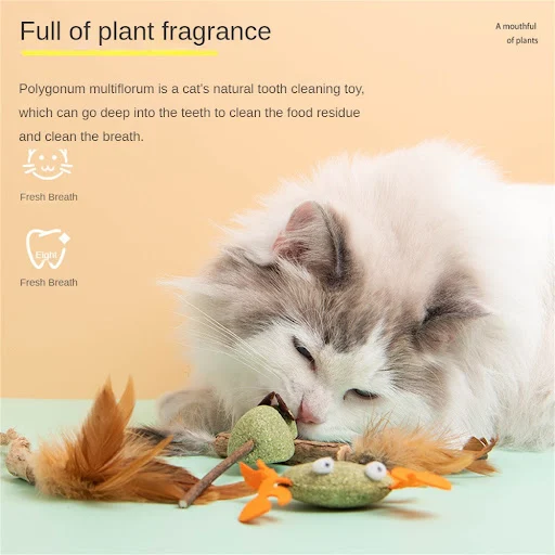 1PC Catnip Balls Cat Mint Toy Grinding Teeth Mint Ball Edible Safety Healthy Snack Rotatable Wall Stick-on Toys For Pet 