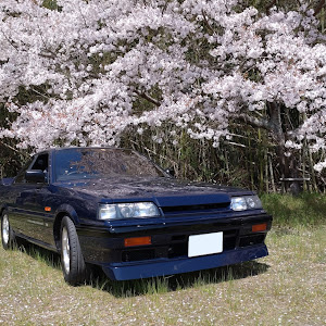 スカイライン R31