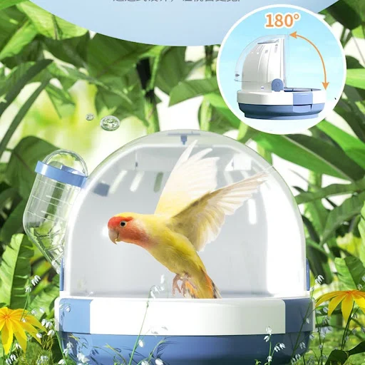Plastic Hamster Travel for Case Bird for Carrier Parrot Carrying Cage Portable Outgoing Gear for Small Pets Mini Drop sh