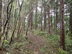 尾根道となる