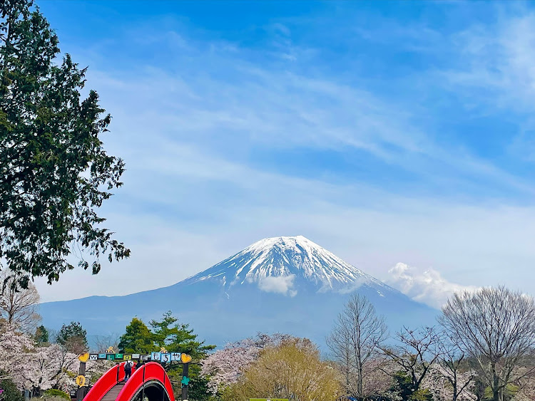ノアの90ミーティング・コラボありがとうございました・富士山とコラボ・朝霧高原もちや・オフ会に関するカスタム事例の投稿画像6枚目