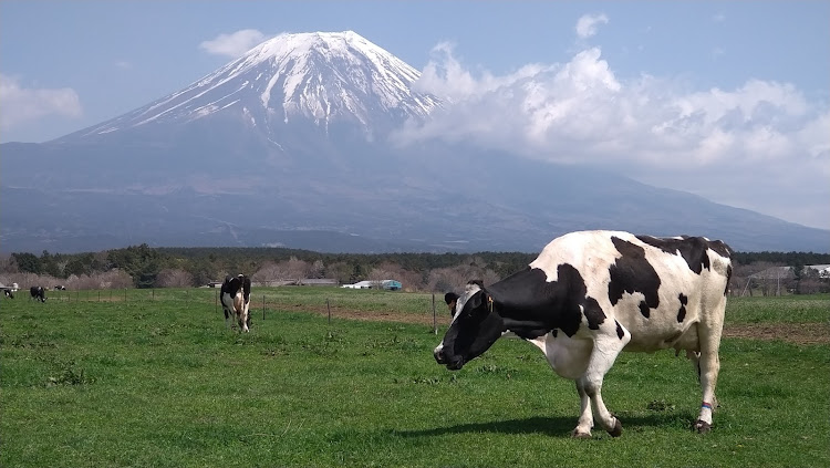 の投稿画像5枚目