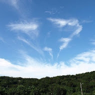 台灣山豬城