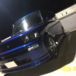 bB NCP31