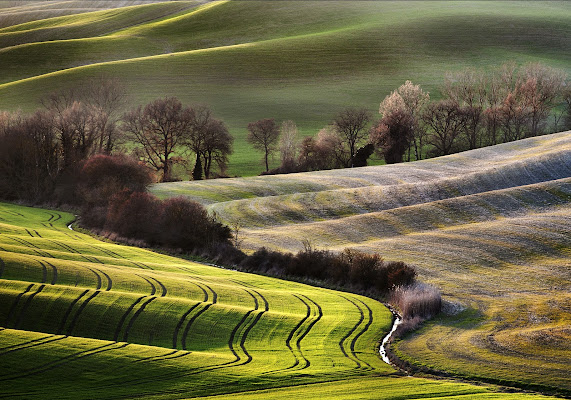 Val D'Orcia di Alberto_Caselli