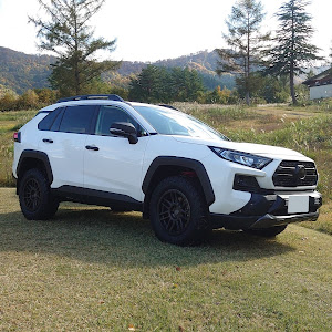 RAV4 MXAA54