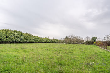 terrain à Rouillac (16)