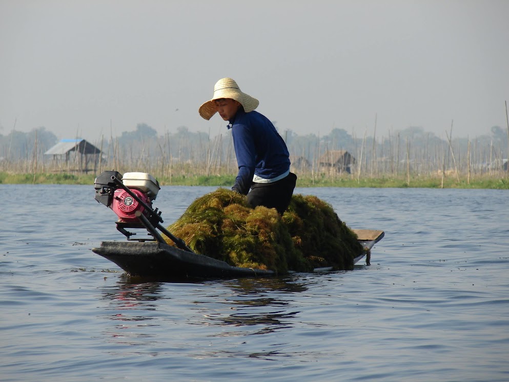 lac inle