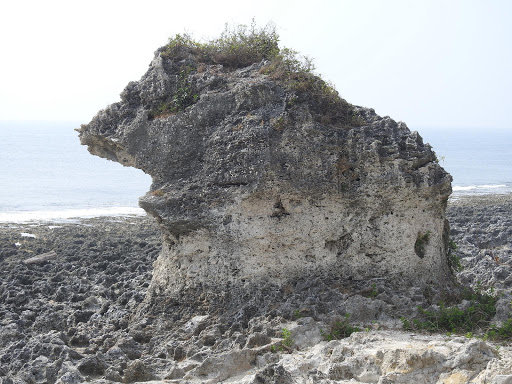 厚石海岸