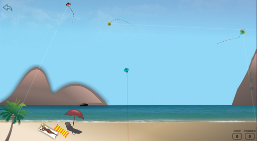 Kite Fighting