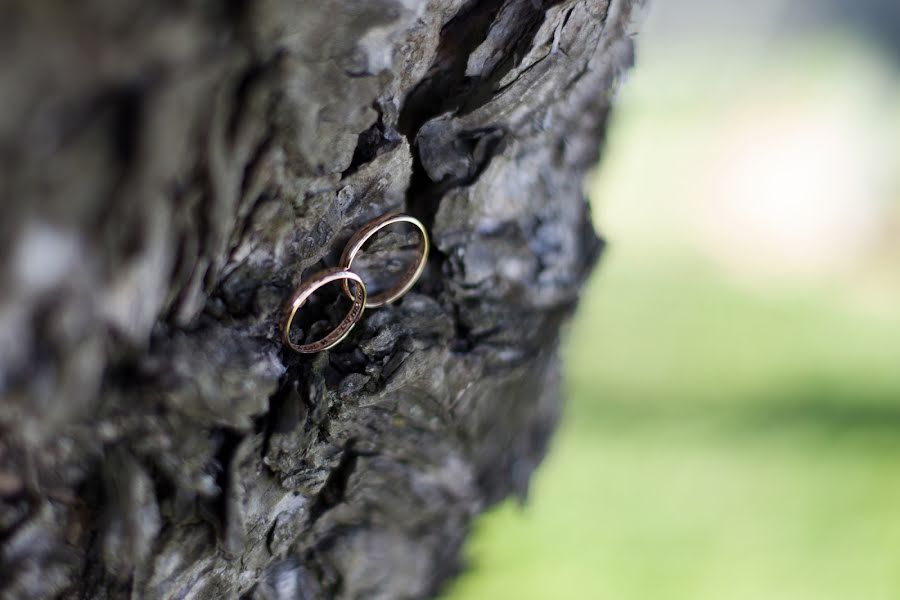 Fotógrafo de casamento Crestina Martins (crestina). Foto de 9 de maio 2019