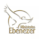 Download Iglesia Cristiana Ebenezer IN For PC Windows and Mac 1.0