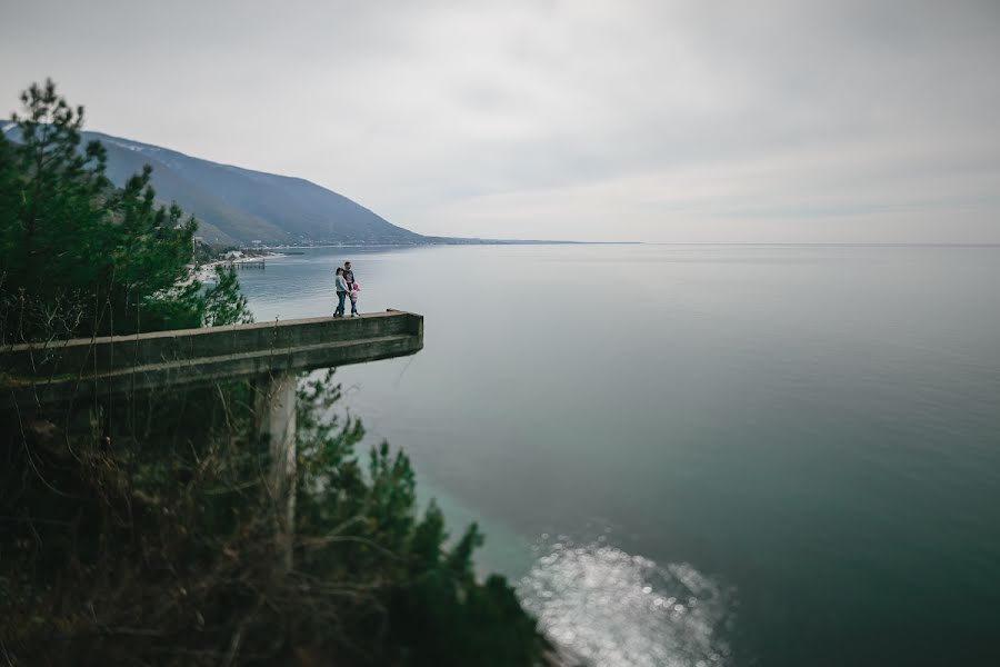 Fotograful de nuntă Dmitriy Palyunin (monitor). Fotografia din 25 aprilie 2017