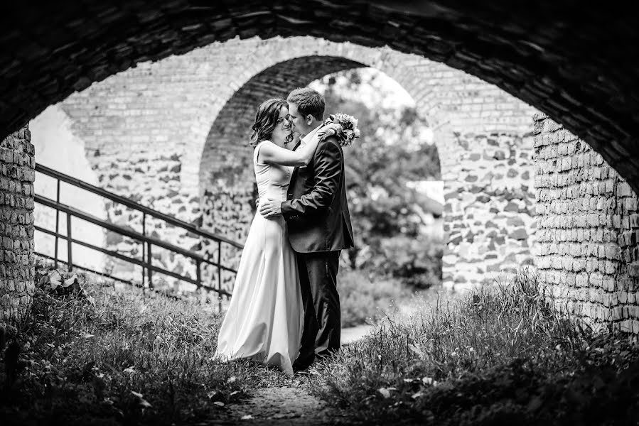 Wedding photographer Aleksandr Shishkin (just-painter). Photo of 9 June 2016