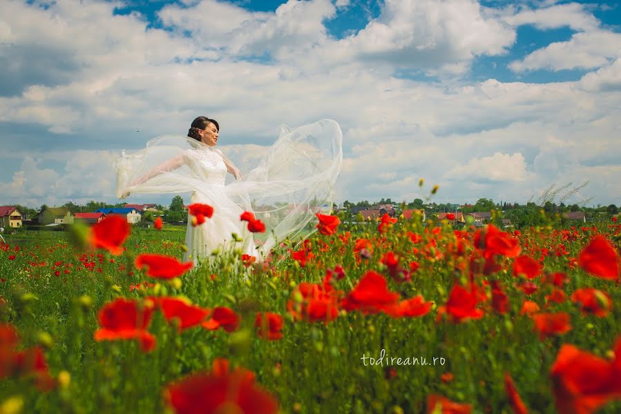 結婚式の写真家Bogdan Todireanu (todireanu)。2016 6月1日の写真