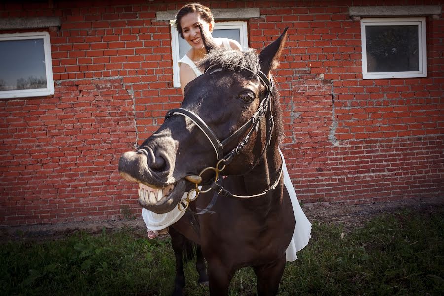 Φωτογράφος γάμων Evgeniya Ushakova (confoto). Φωτογραφία: 29 Ιουλίου 2014