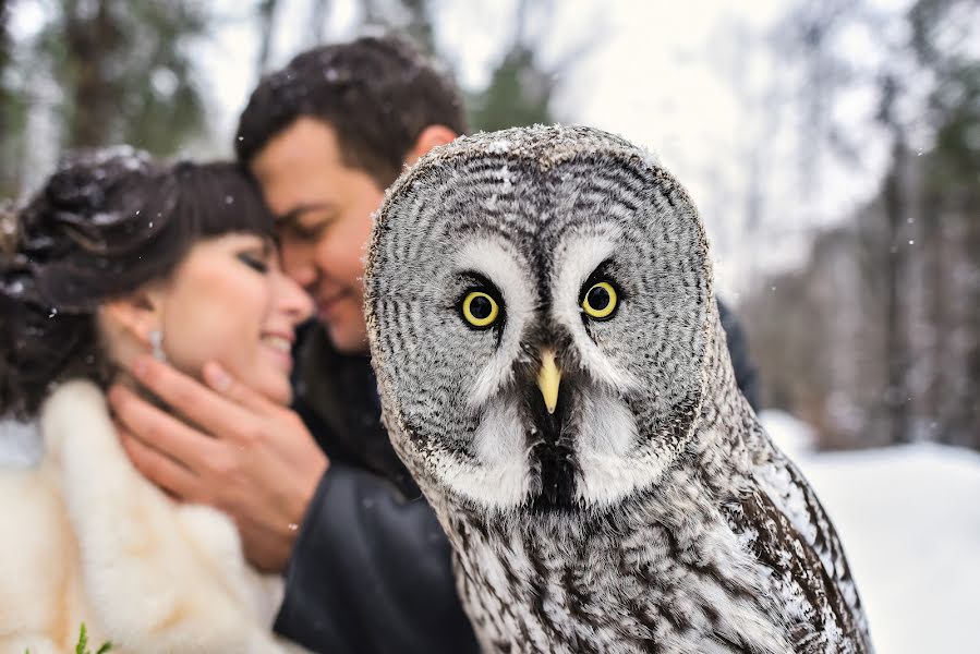 Fotógrafo de bodas Tikhomirov Evgeniy (tihomirov). Foto del 14 de marzo 2017