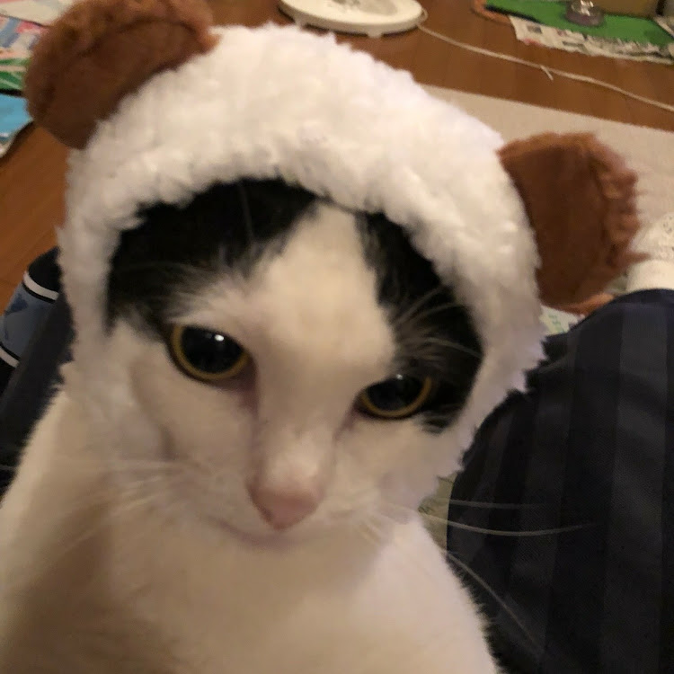 たかさんが投稿したカスタム事例の投稿画像1枚目