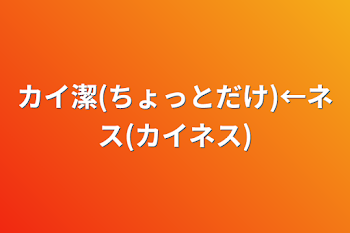 カイ潔(ちょっとだけ)←ネス(カイネス)