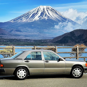 190シリーズ W201