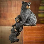 Black bear