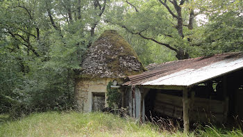 propriété à Blanquefort-sur-Briolance (47)