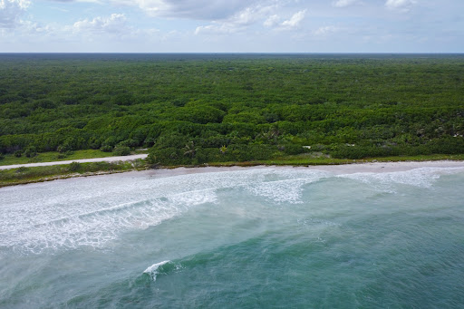 Land purchase in Othón P. Blanco (Mexico)