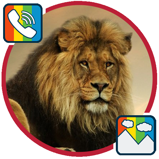 Lion Ringtones And Wallpapers Google Play のアプリ