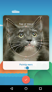 My Talking Pet  v2.0.11