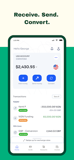 Screenshot Geegpay - Global Bank Accounts