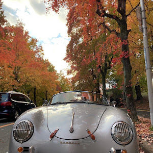 356