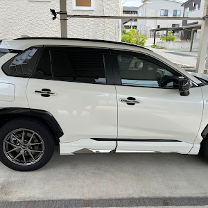 RAV4 AXAP54