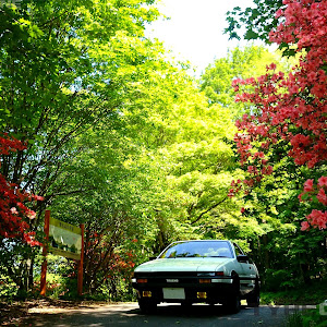 スプリンタートレノ AE86