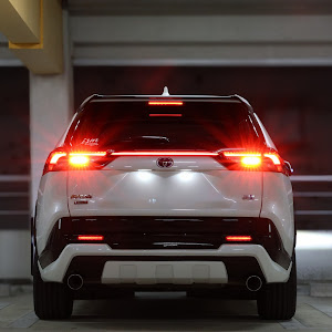 RAV4 AXAH54