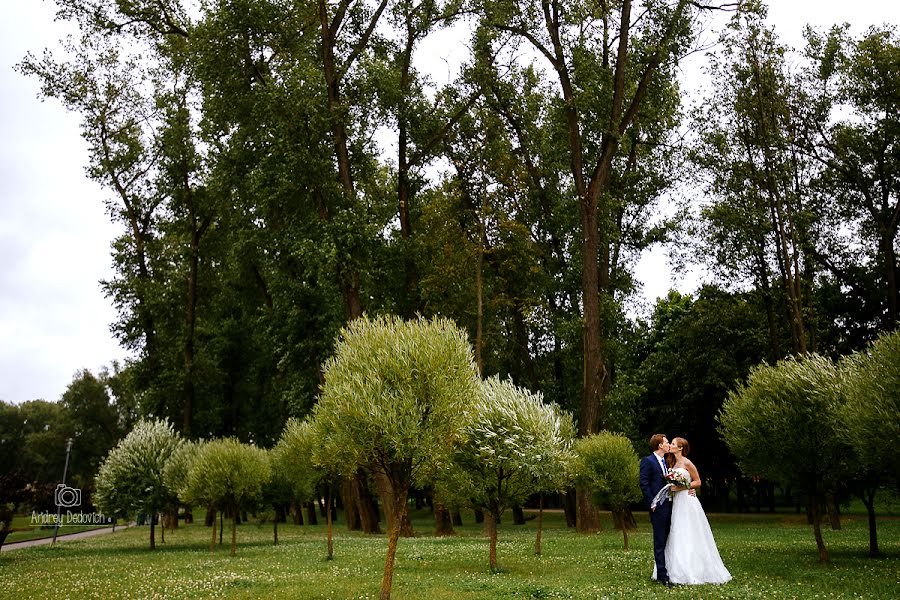 Photographe de mariage Andrey Dedovich (dedovich). Photo du 9 novembre 2017