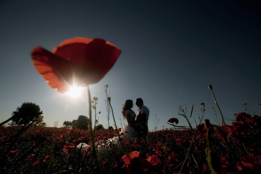 Fotógrafo de casamento Petr Molla (mollap). Foto de 4 de julho 2018