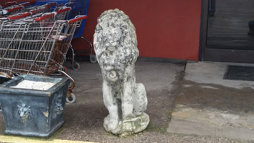 Lion Statues