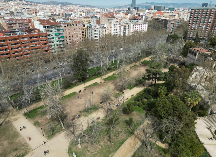 A drone view shows dry trees at Parc de la Ciutadella in Barcelona, Spain, on March 19 2024. Picture: REUTERS/ALBERT GEA