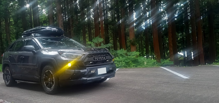 RAV4の生存報告・喰うチューン・冷やし中華・冷たい肉そば・55,555kmに関するカスタム事例の投稿画像1枚目