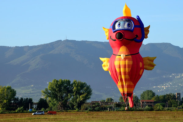 Allegra mongolfiera subacquea. di effeenne