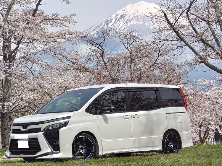 ヴォクシーのサクラと愛車・サクラスポット・フォロアーさんに感謝・一眼憧れに関するカスタム事例の投稿画像3枚目