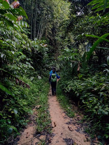 Gunung Nuang via Pangsun Never Ending Road