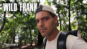 Wild Frank thumbnail