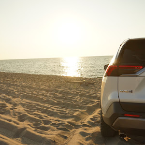RAV4 MXAA54