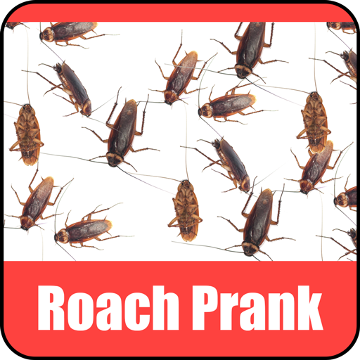 Roach Scare Prank 娛樂 App LOGO-APP開箱王
