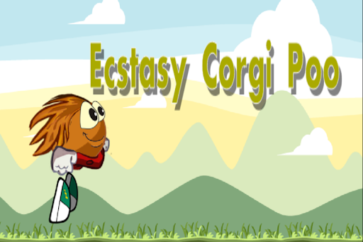 Ecstasy Corgi Poo