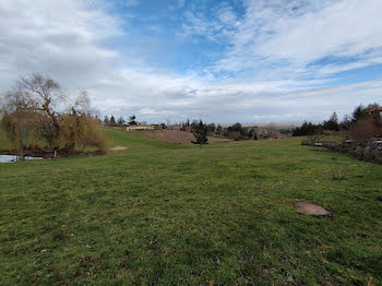 terrain à Saint-Haon-le-Vieux (42)